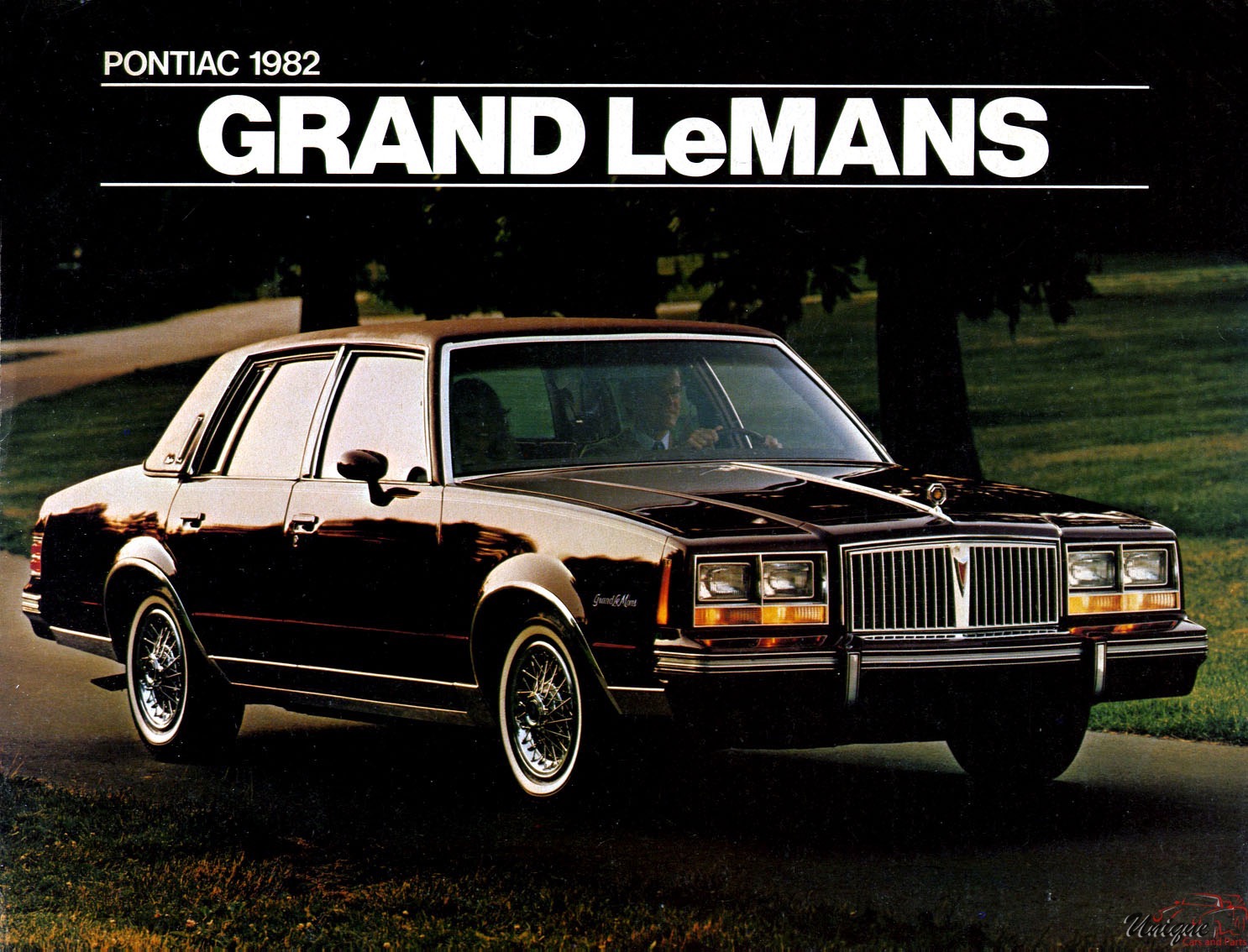 1982 Pontiac Firebird Grand LeMans Brochure Page 2
